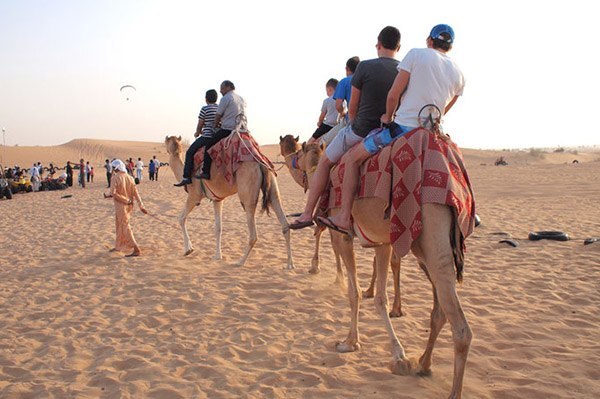 Morning Desert Safari Tour With Camel Riding In Dubai