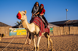Camel Riding Abu Dhabi