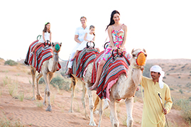 Abu Dhabi Camel Ride